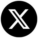 X Icon