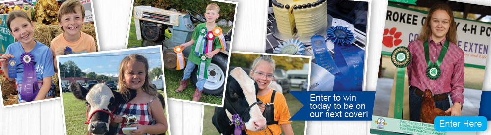 Fair Catalog Cover Contest